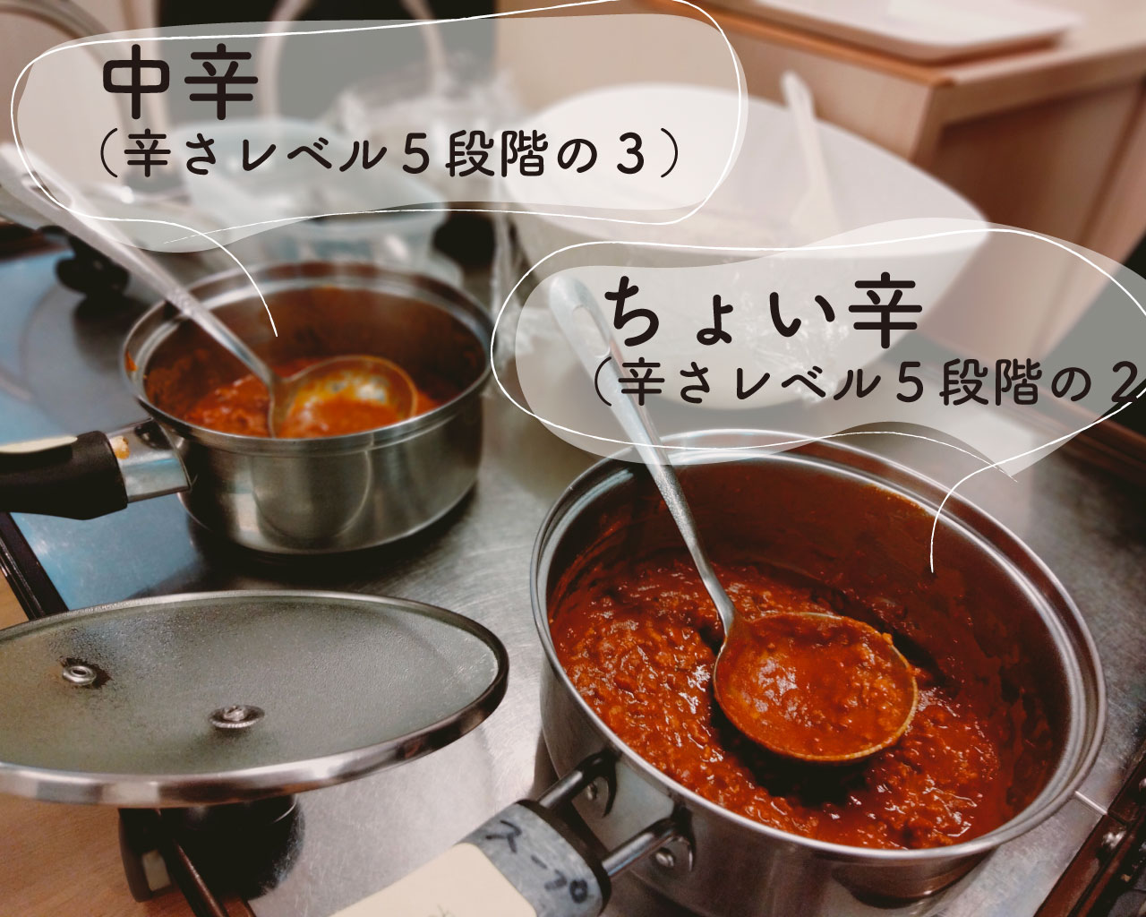 試食会で提示された二種類のカレー